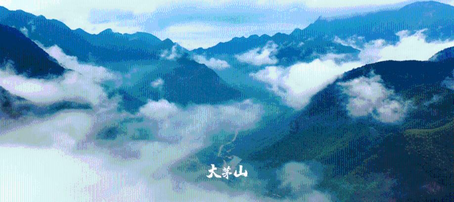 “三支笔”书写人居环境“新画卷”