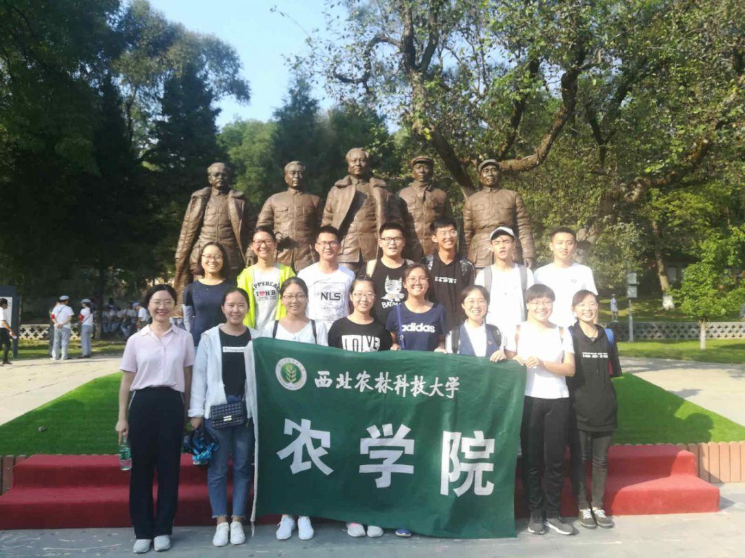 花了一个多月我终于摆脱了常年便秘的困扰了!