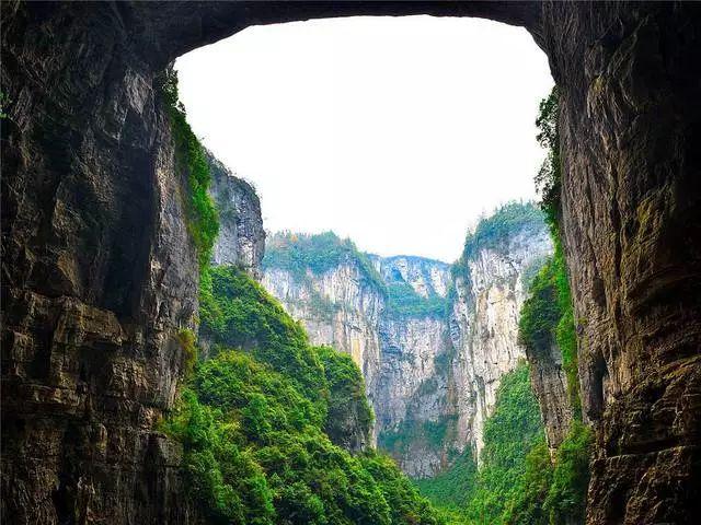 熊出没百层大冒险