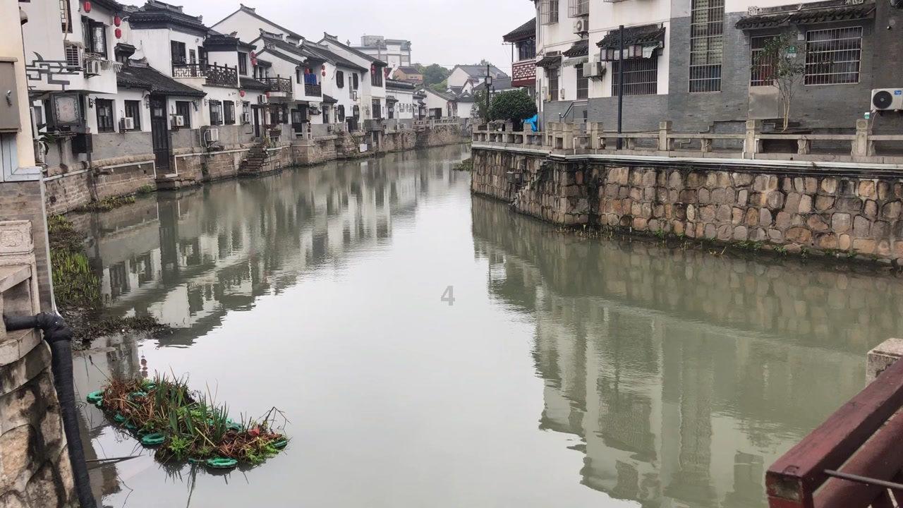 文化学者、书画家杨秀和：俞姓是中国人常见的姓氏，起源很早
