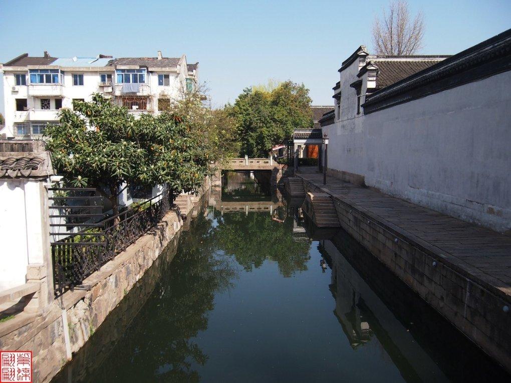 饿狮救援